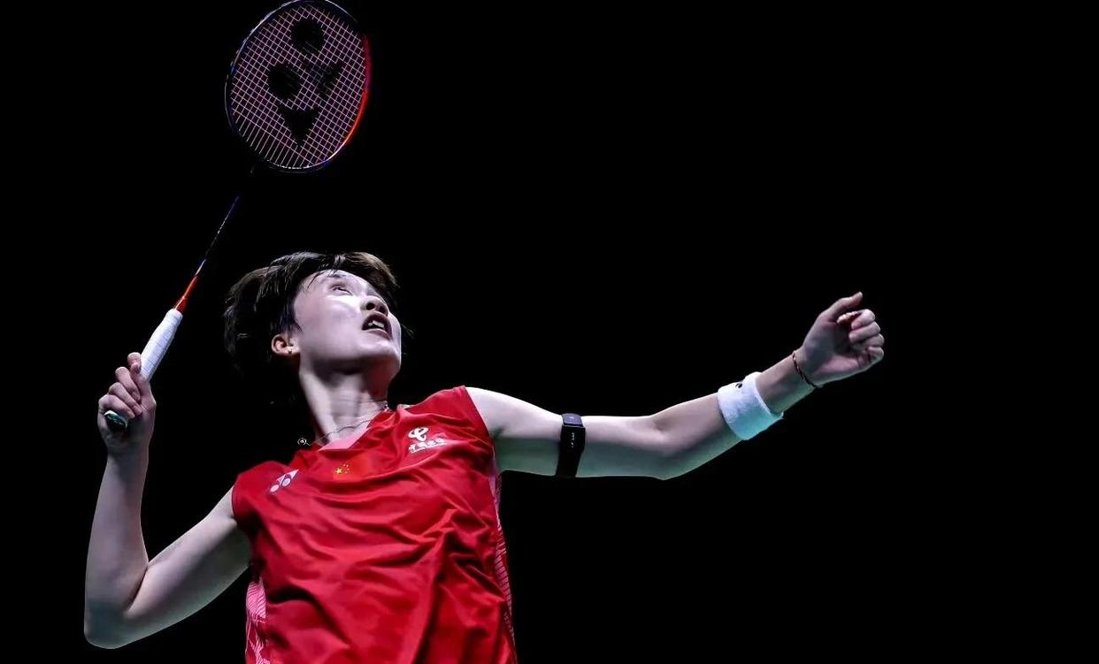 开云官方app入口-法国队横扫马来西亚队，陈雨菲带队取胜的简单介绍