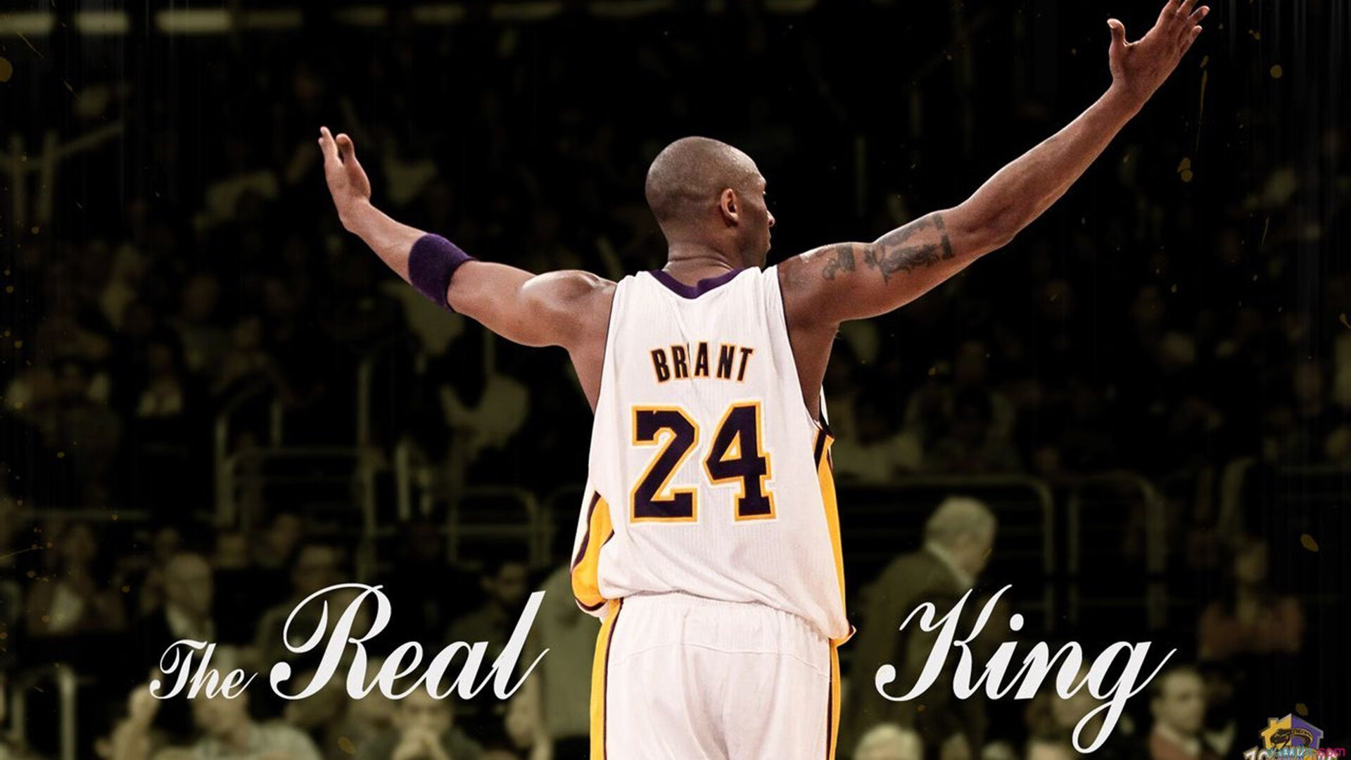 东决关键战焦点战，国王硬仗取胜灰熊