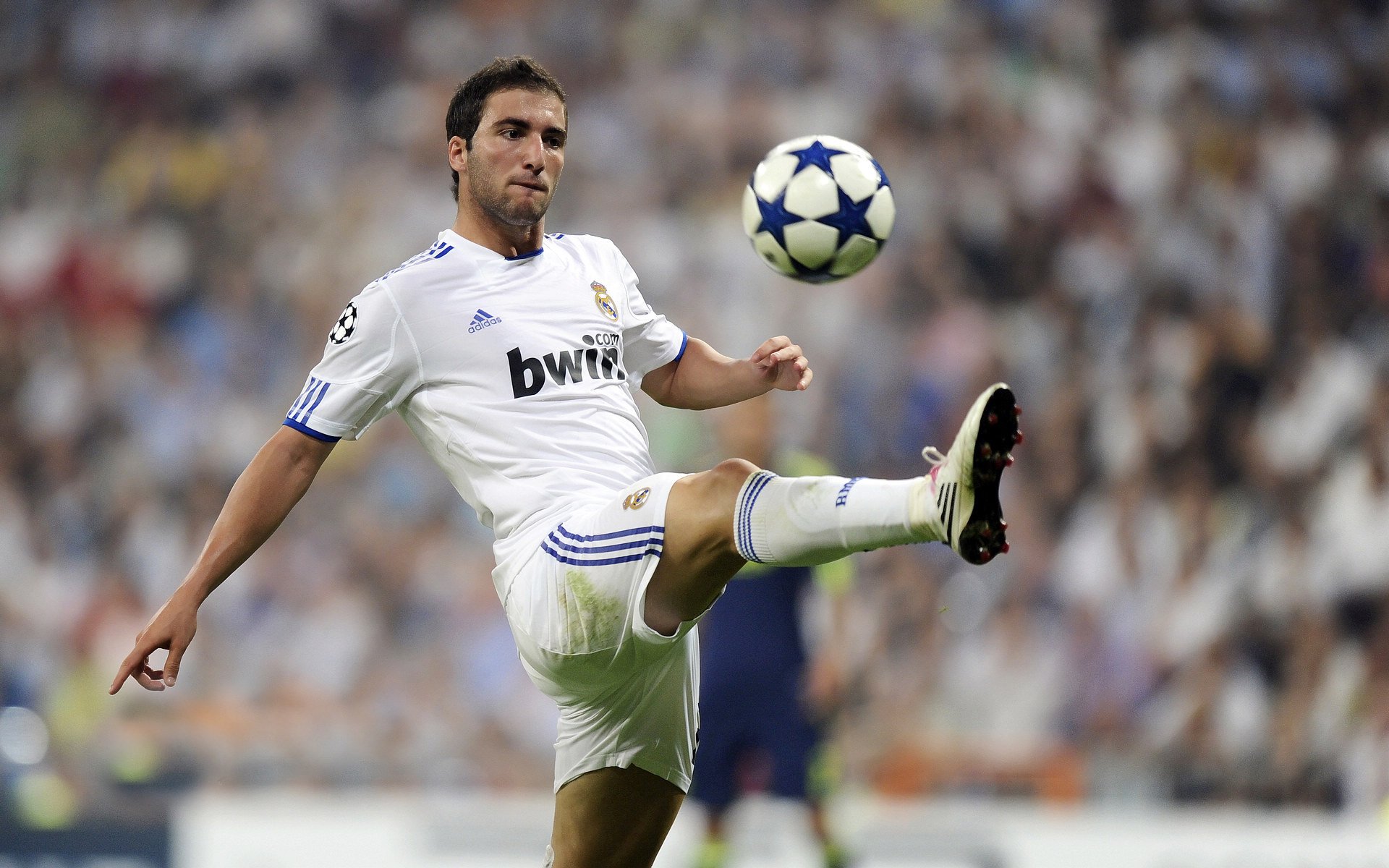 拉沃尔杯轻取美网？德约科维奇跨界惊艳四座背后的网球新叙事